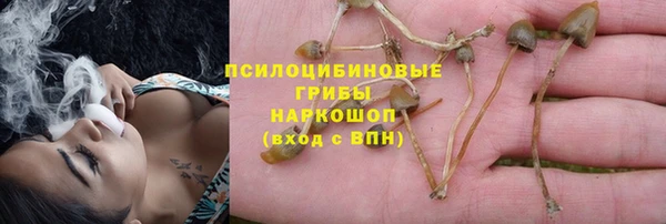 ALPHA-PVP Арсеньев